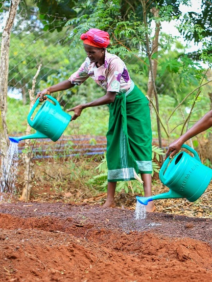 Človek v ohrození